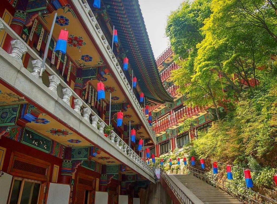 韓国旅行 タニャン ダニャン 韓国地方旅行 ドダムサンボン 韓国パラグライダー 救仁寺 カぺサン 韓国カフェ マンチョンハスカイウォーク