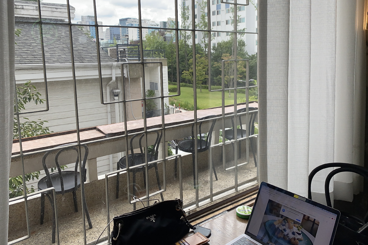 在延南磨坊展示的小型藝術展,紙板老虎和綠林景象營造活潑氛圍。