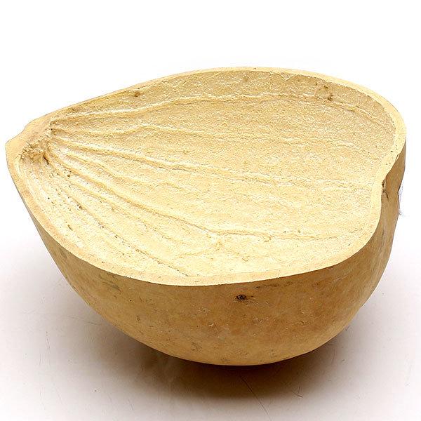 昔ながらの韓国のひょうたん型の水ひしゃく