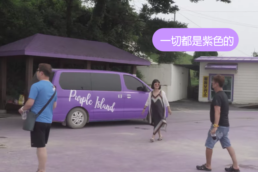紫岛 2025 推荐