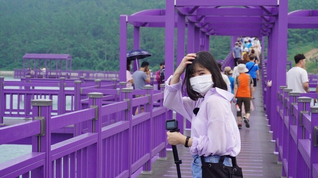 パープルアイランド、パープル島、パープルソム、むらさきの島、紫島、話題のスポット、人気スポット、韓国人SNS、ソウル名所、人気、インスタ映え、紫、韓国観光、全羅南道、チョルラナムド
