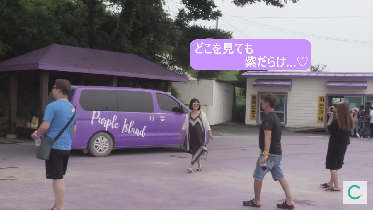 パープルアイランド、パープル島、パープルソム、むらさきの島、紫島、話題のスポット、人気スポット、韓国人SNS、ソウル名所、人気、インスタ映え、紫、韓国観光、全羅南道、チョルラナムド