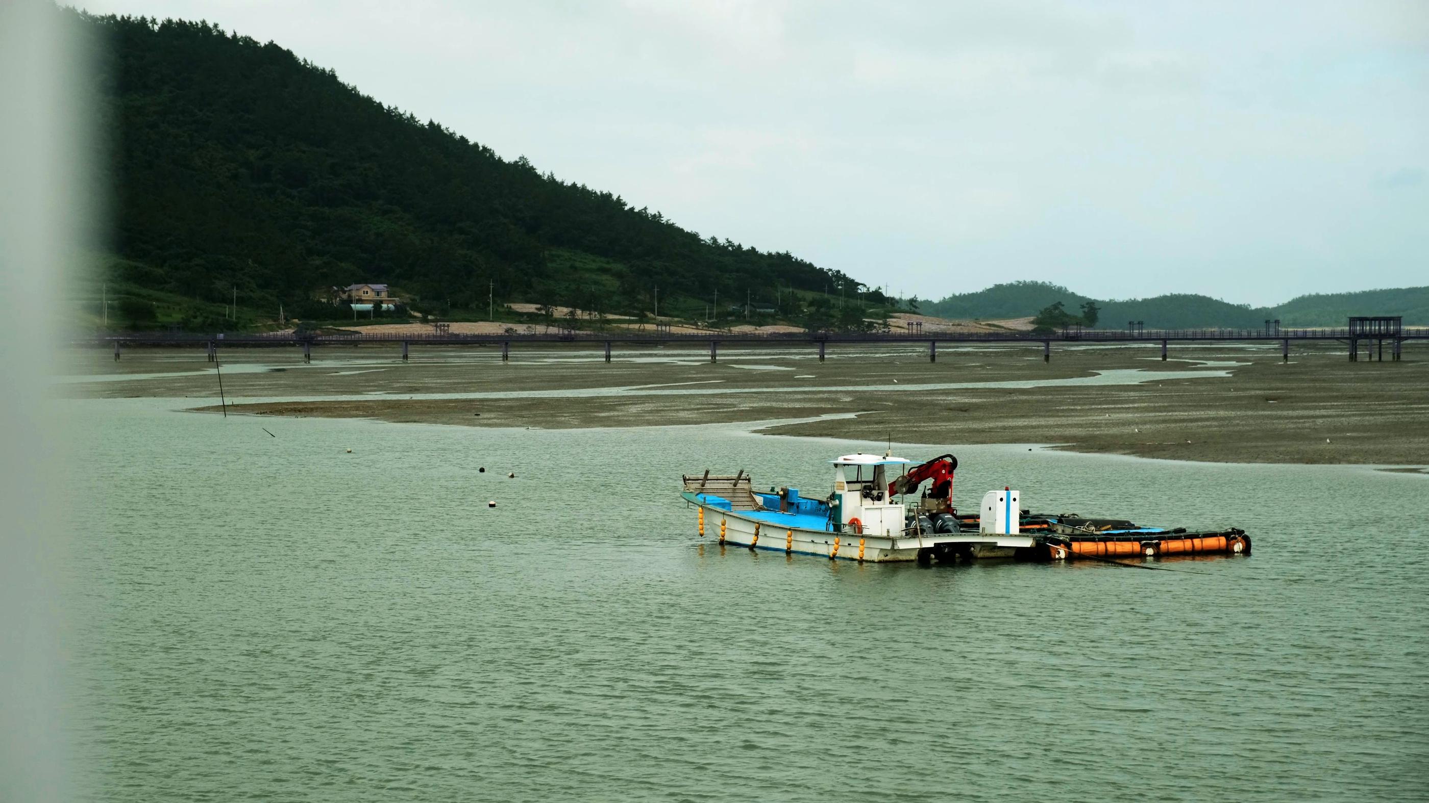 パープルアイランド、パープル島、パープルソム、むらさきの島、紫島、話題のスポット、人気スポット、韓国人SNS、ソウル名所、人気、インスタ映え、紫、韓国観光、全羅南道、チョルラナムド