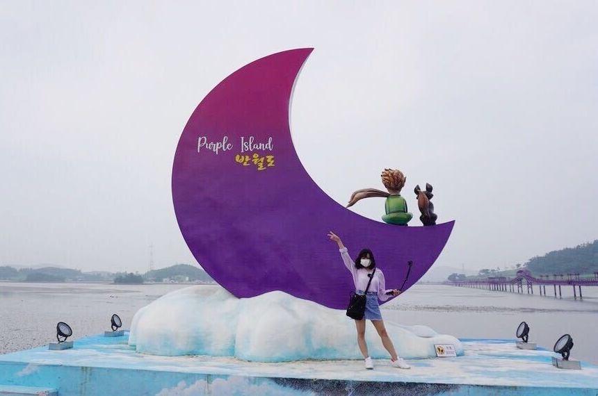 パープルアイランド、パープル島、パープルソム、むらさきの島、紫島、話題のスポット、人気スポット、韓国人SNS、ソウル名所、人気、インスタ映え、紫、韓国観光、全羅南道、チョルラナムド