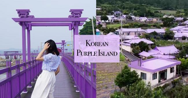 「紫色之島(紫島)」探訪