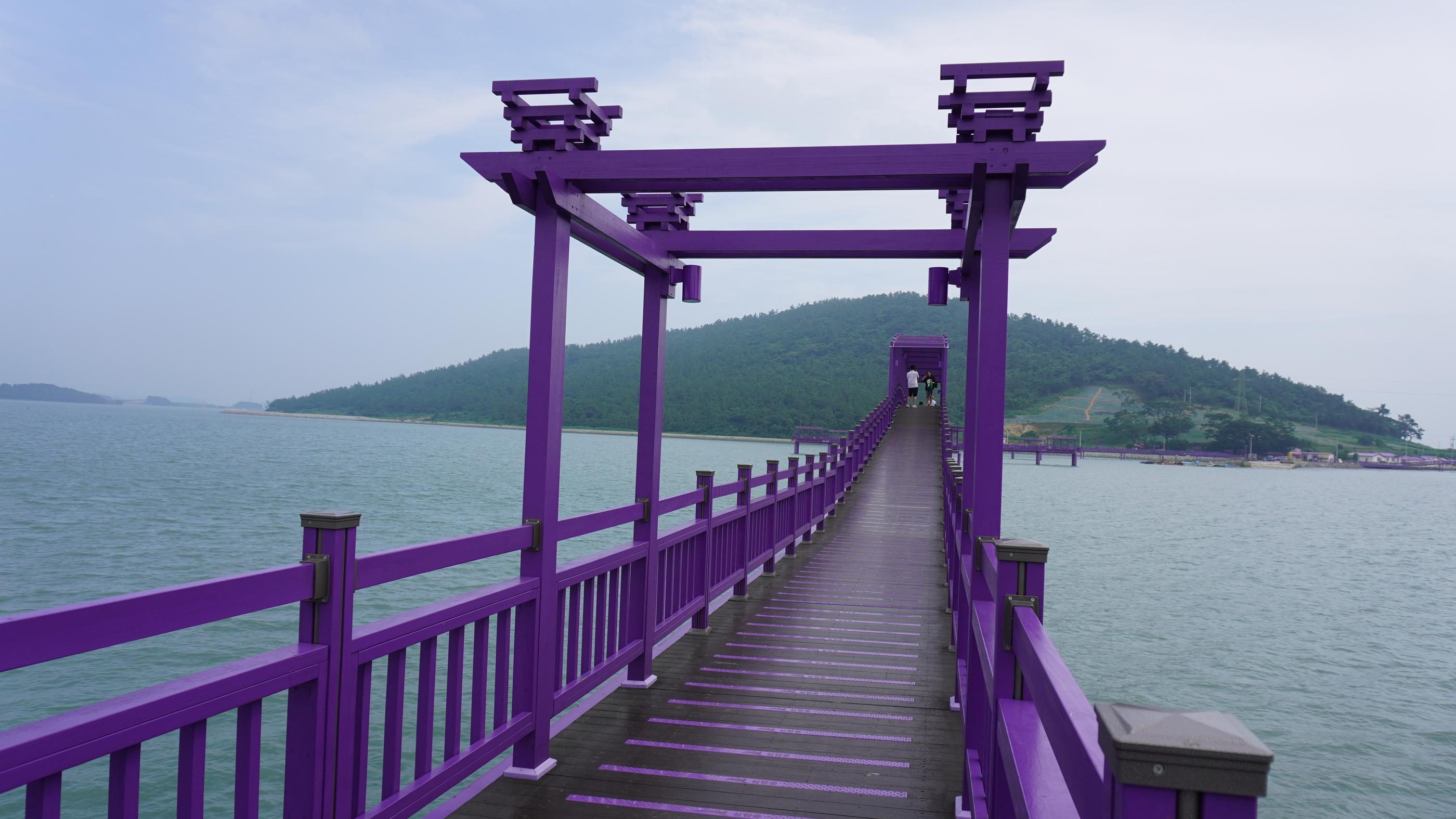 パープルアイランド、パープル島、パープルソム、むらさきの島、紫島、話題のスポット、人気スポット、韓国人SNS、ソウル名所、人気、インスタ映え、紫、韓国観光、全羅南道、チョルラナムド