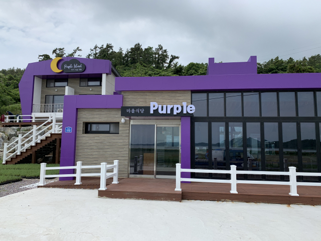 韓國 紫色島 紫島