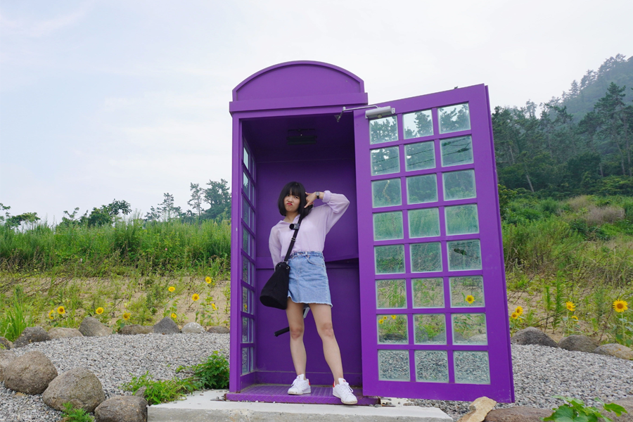 韩国紫色的岛屿