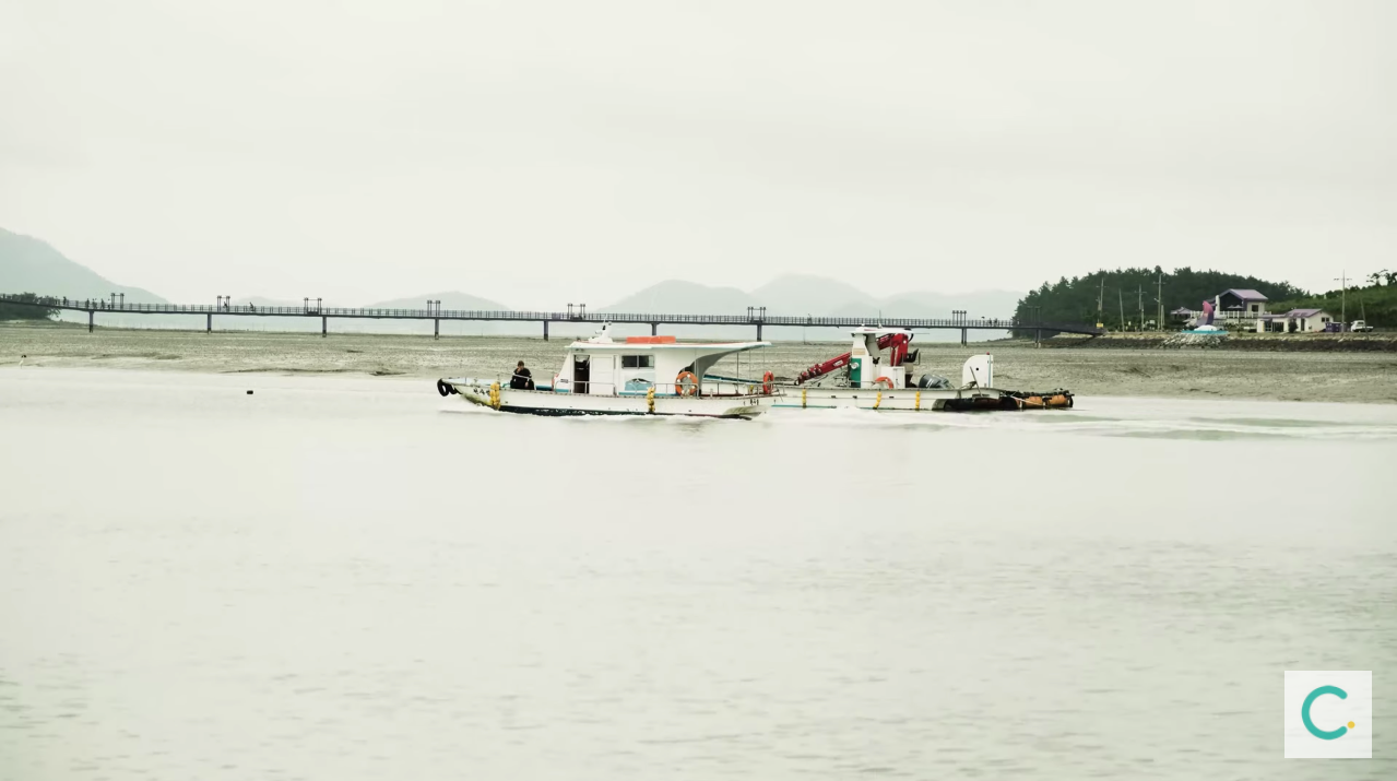 パープルアイランド、パープル島、パープルソム、むらさきの島、紫島、話題のスポット、人気スポット、韓国人SNS、ソウル名所、人気、インスタ映え、紫、韓国観光、全羅南道、チョルラナムド