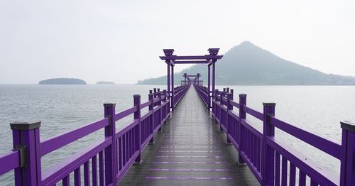 韓國 紫色島 紫島
