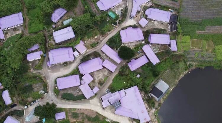 パープルアイランド、パープル島、パープルソム、むらさきの島、紫島、話題のスポット、人気スポット、韓国人SNS、ソウル名所、人気、インスタ映え、紫、韓国観光、全羅南道、チョルラナムド