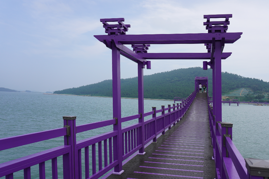 韩国 紫岛 路线