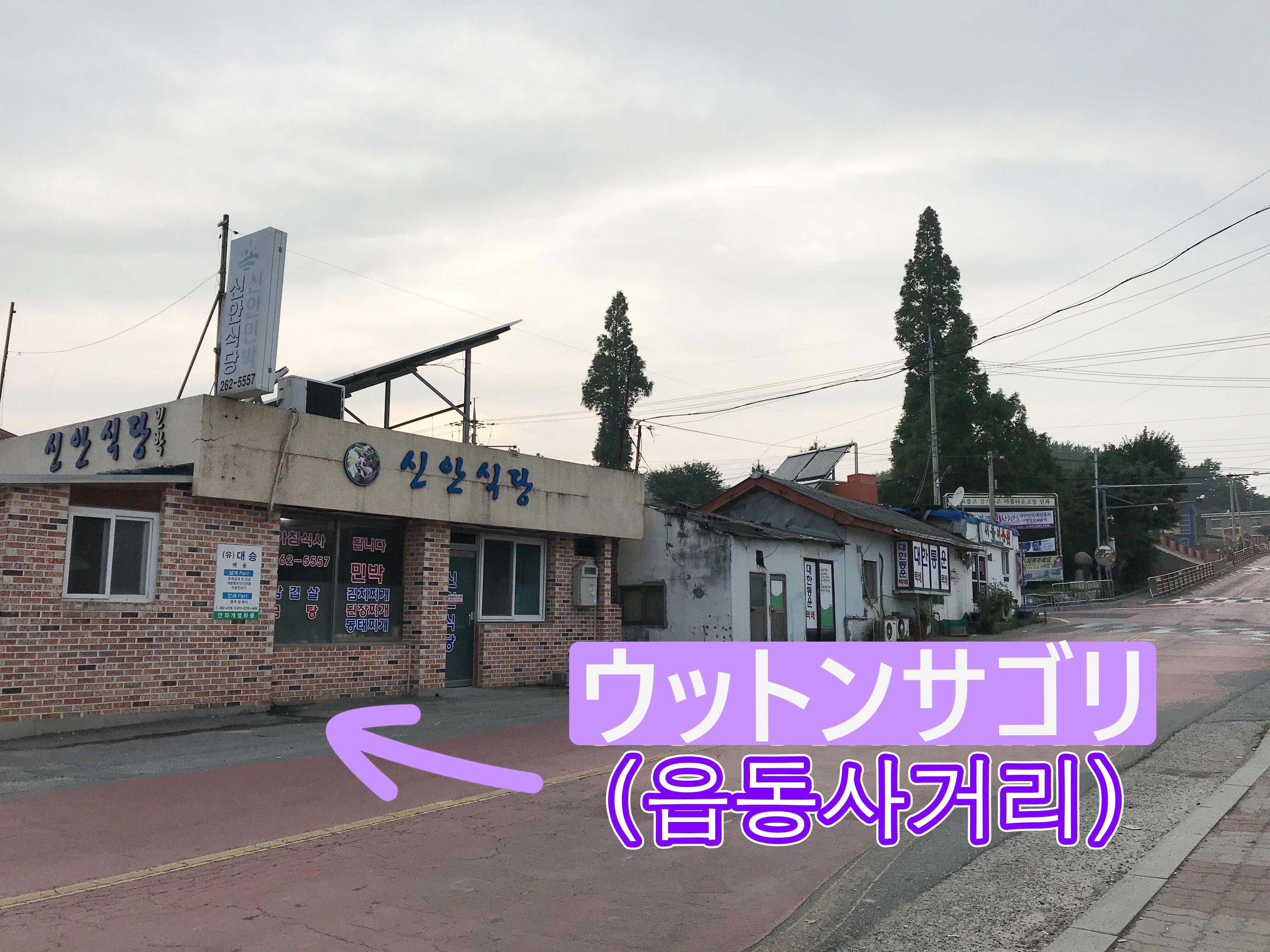 パープルアイランド、パープル島、パープルソム、むらさきの島、紫島、話題のスポット、人気スポット、韓国人SNS、ソウル名所、人気、インスタ映え、紫、韓国観光、全羅南道、チョルラナムド