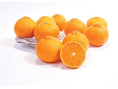 I luoghi di nascita dei piatti coreani! Bibimbap, Gopchang e molto altro!