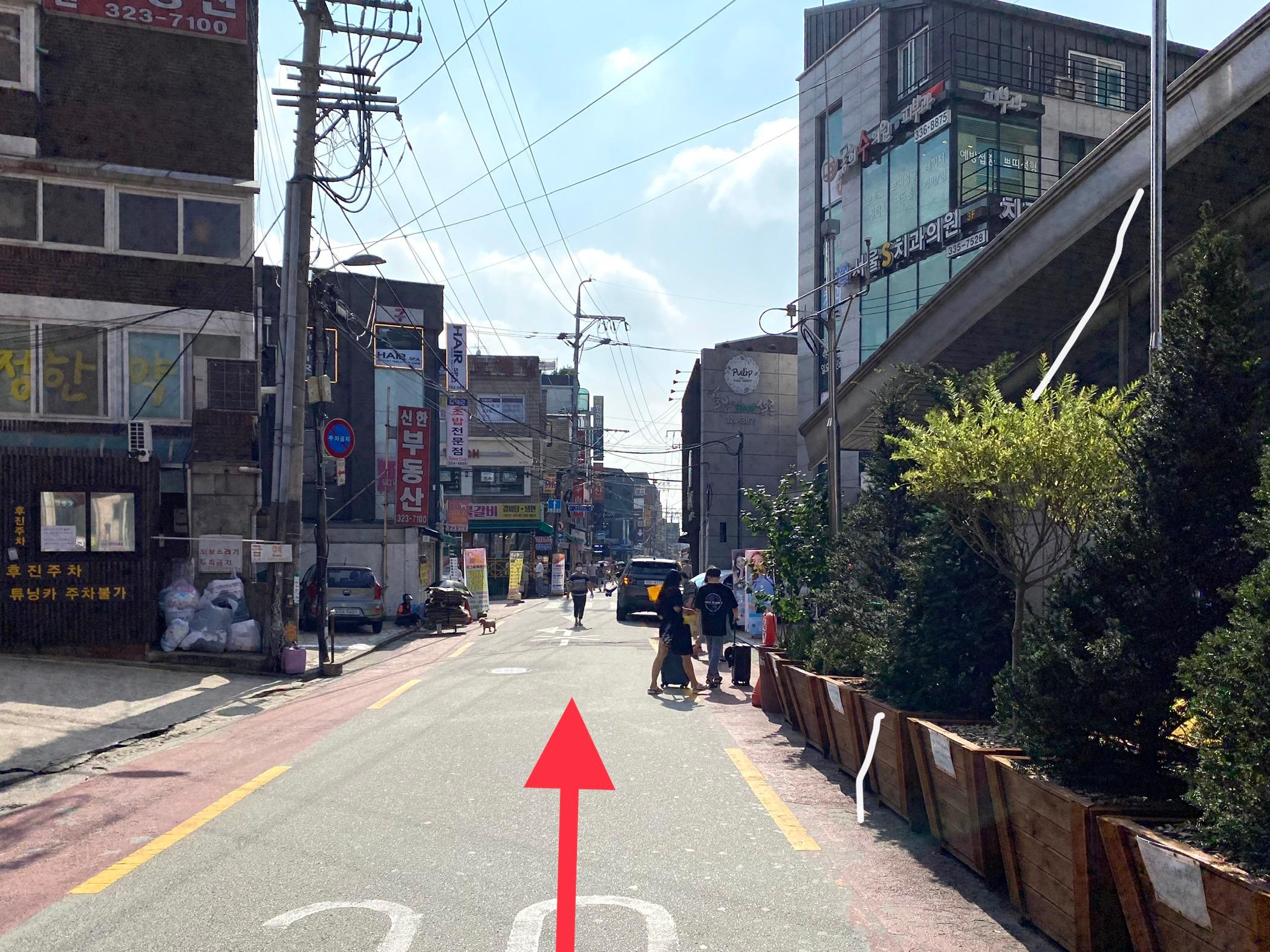 沿著望遠舊城區街道前進，兩邊綠樹成蔭，街道上有幾個步行者。