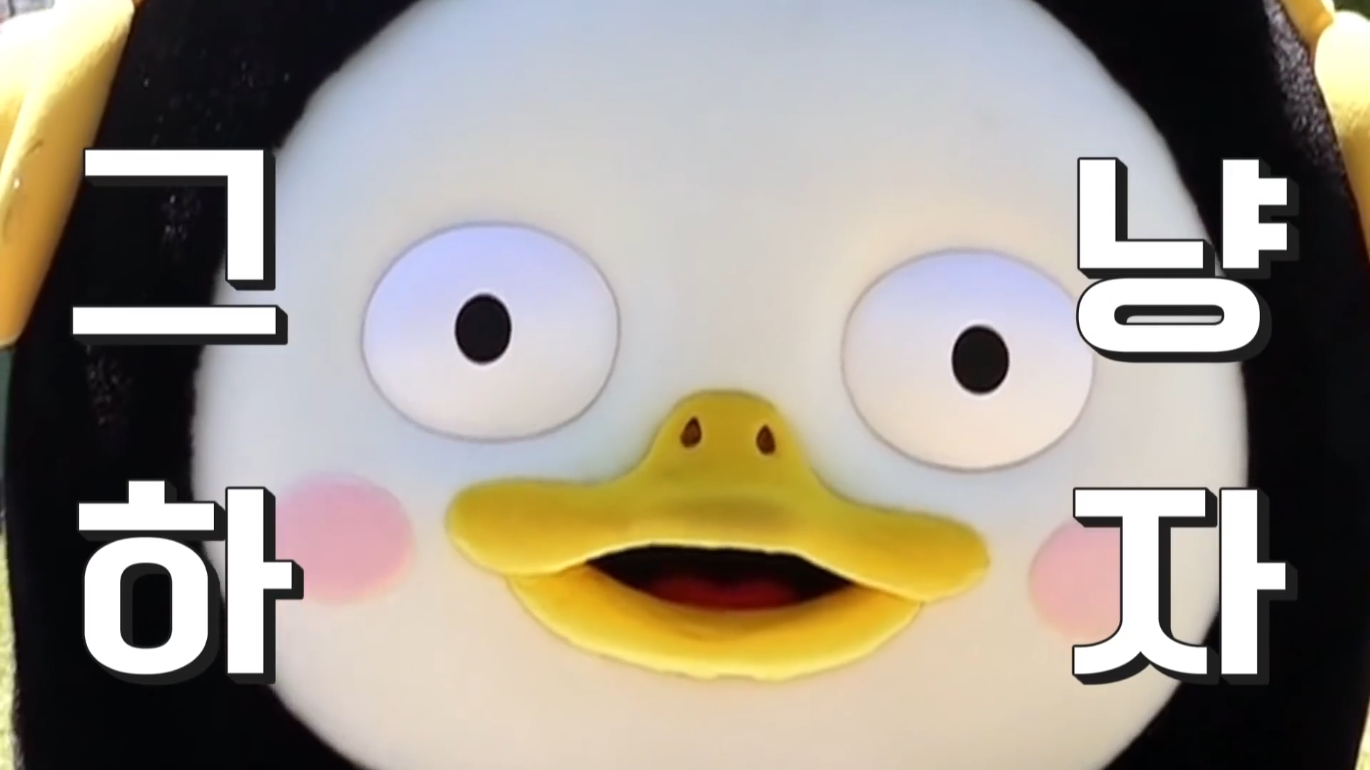 鼓勵立即行動的簡短語句插圖，解釋韓國用語 걍고，意指趕快行動。