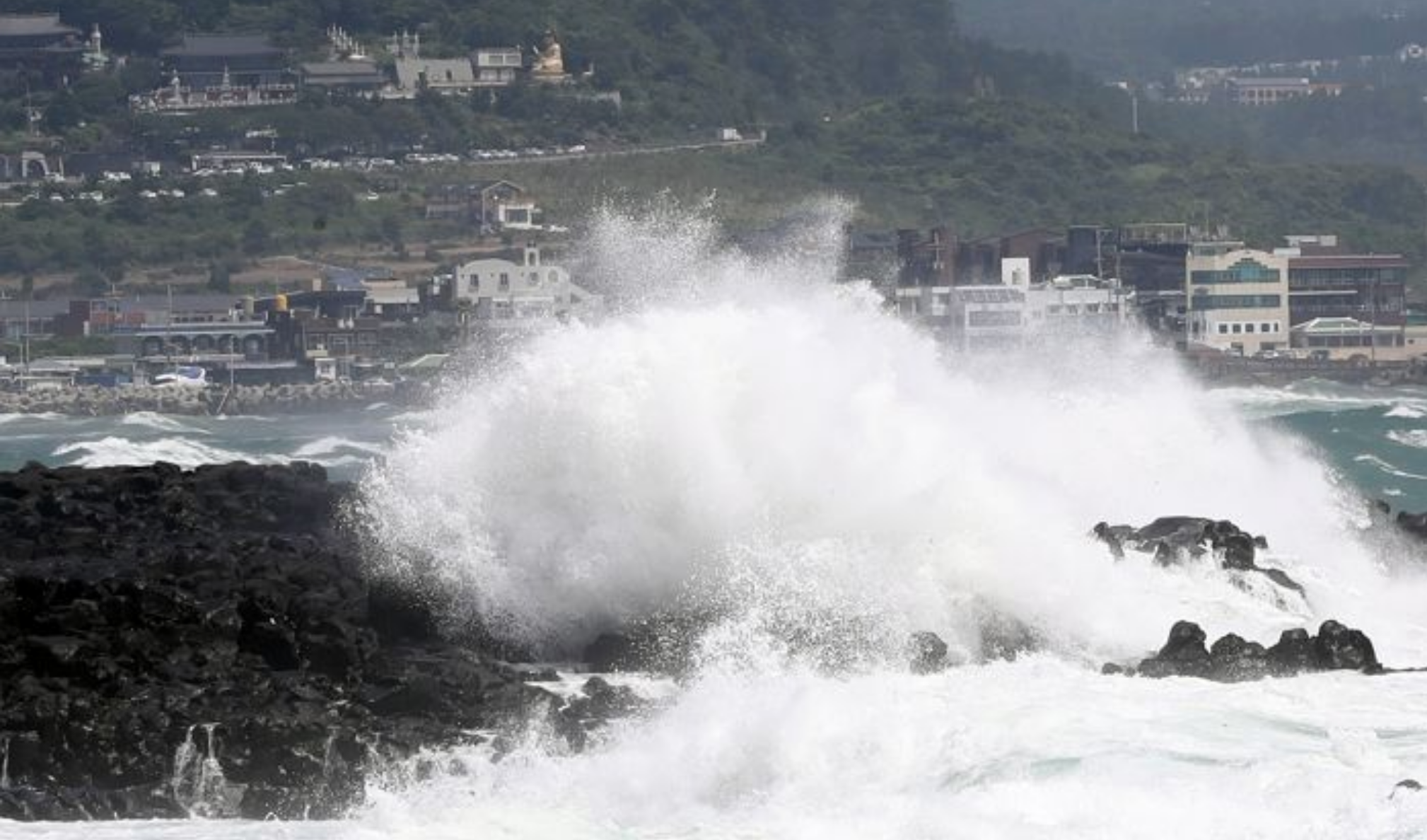 濟州島海岸浪潮猛烈，受巴威颱風影響，水花沖擊岩石形成壯觀景象，背景有濟州島建築物。