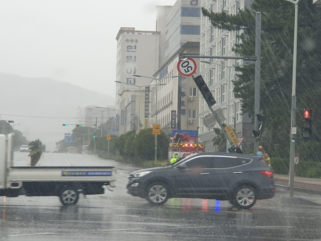Typhoon Bavi Affects Jeju Island: Flights Cancelled, Boats Evacuated, Trees Break And More