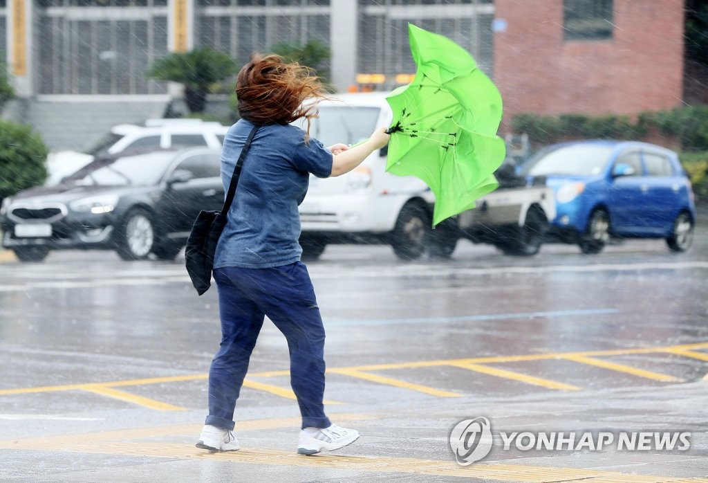 Typhoon Bavi Affects Jeju Island: Flights Cancelled, Boats Evacuated, Trees Break And More