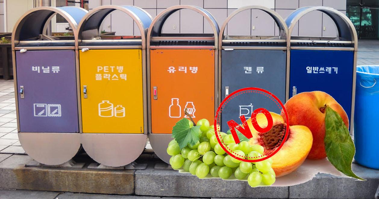 Lưu ý phân loại rác thực phẩm ở Hàn nếu không muốn bị mất tiền oan 