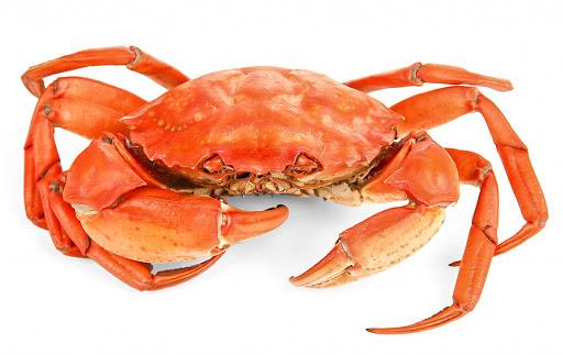 Lưu ý phân loại rác thực phẩm ở Hàn nếu không muốn bị mất tiền oan 