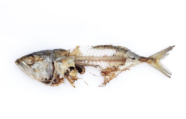 Lưu ý phân loại rác thực phẩm ở Hàn nếu không muốn bị mất tiền oan 