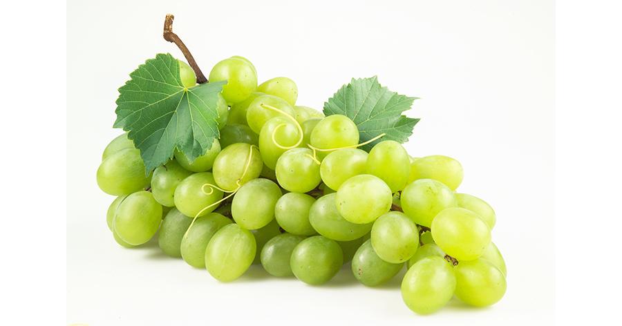 Lưu ý phân loại rác thực phẩm ở Hàn nếu không muốn bị mất tiền oan 