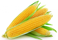 Lưu ý phân loại rác thực phẩm ở Hàn nếu không muốn bị mất tiền oan 