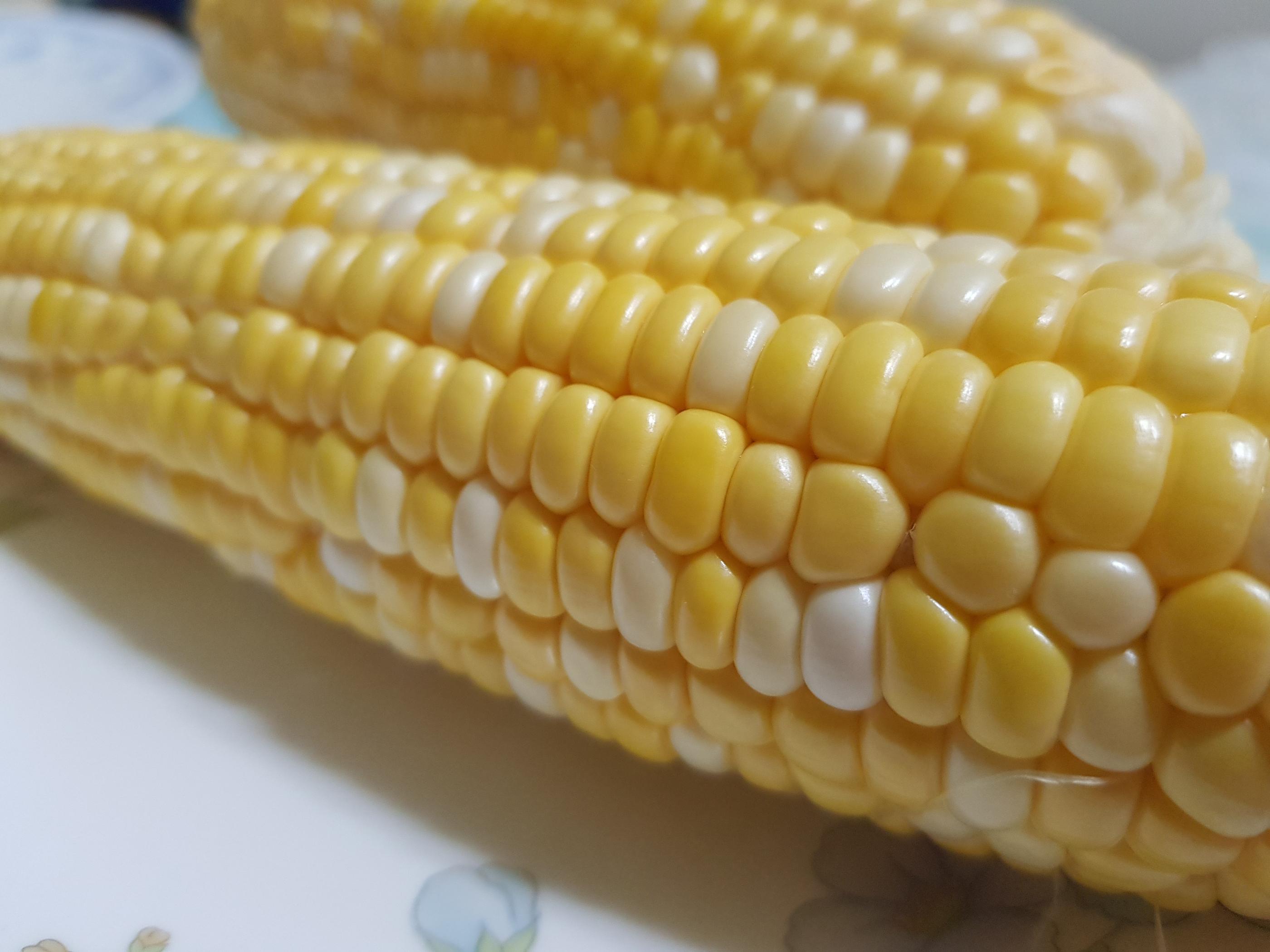 韓国のおやつ、オクスス、トウモロコシ、韓国のトウモロコシ、チャルオクスス