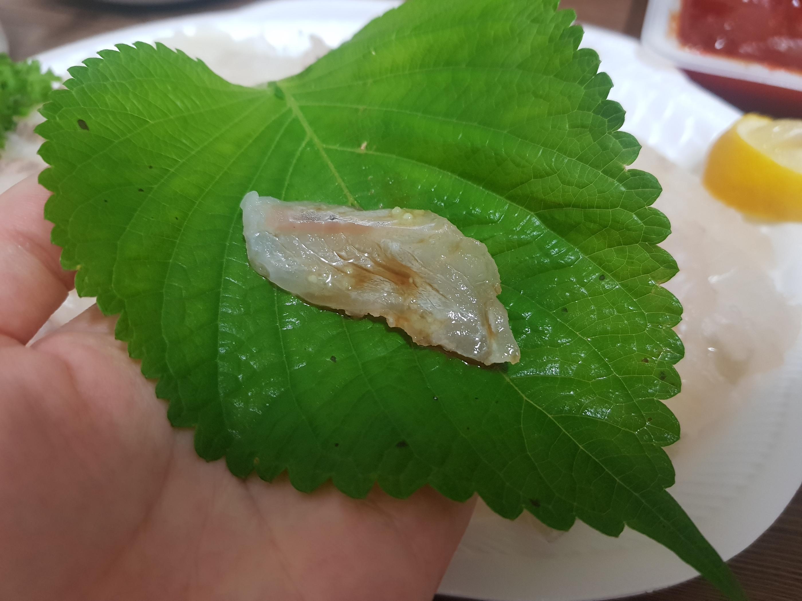 韓国の刺身、フェ、韓国の魚、韓国センソン、センソングイ