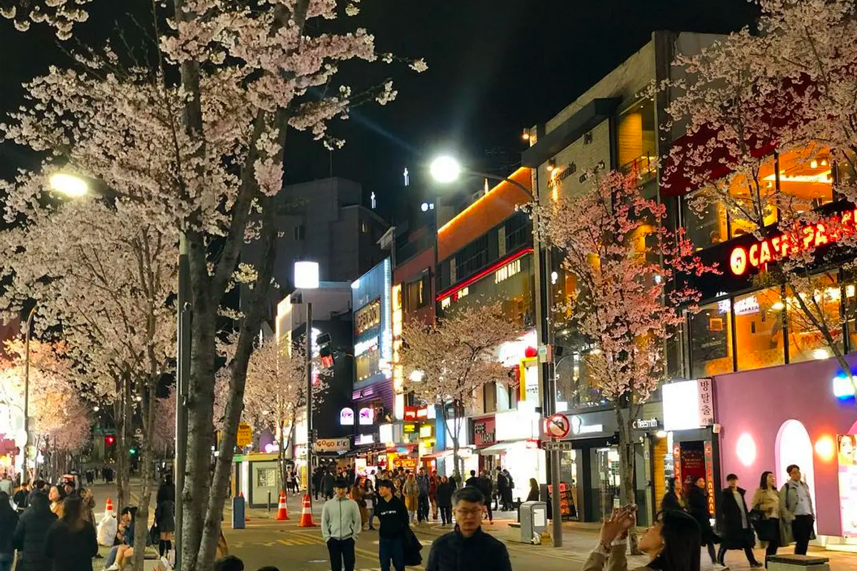 2025 韩国首尔赏樱景点 韩国首尔樱花 推荐