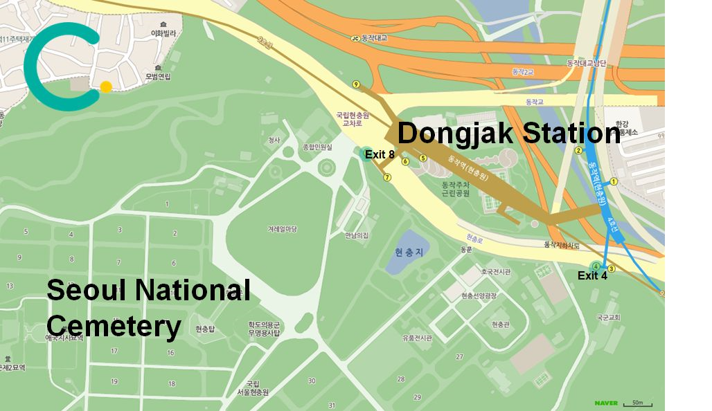 2025韓国桜開花予想、韓国お花見。ソウルお花見、韓国お花見おススメ、ソウル桜の名所、明洞桜、ヨイド桜、ソウルタワー桜、キョンヒ大学桜、ヨンセ路桜