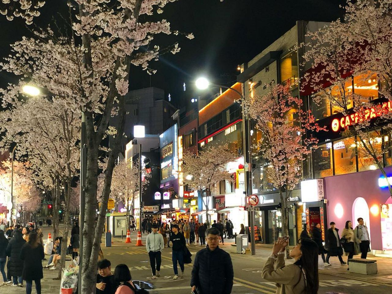 2025韓国桜開花予想、韓国お花見。ソウルお花見、韓国お花見おススメ、ソウル桜の名所、明洞桜、ヨイド桜、ソウルタワー桜、キョンヒ大学桜、ヨンセ路桜