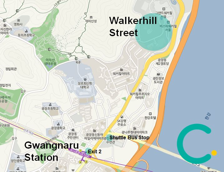 2025韓国桜開花予想、韓国お花見。ソウルお花見、韓国お花見おススメ、ソウル桜の名所、明洞桜、ヨイド桜、ソウルタワー桜、キョンヒ大学桜、ヨンセ路桜