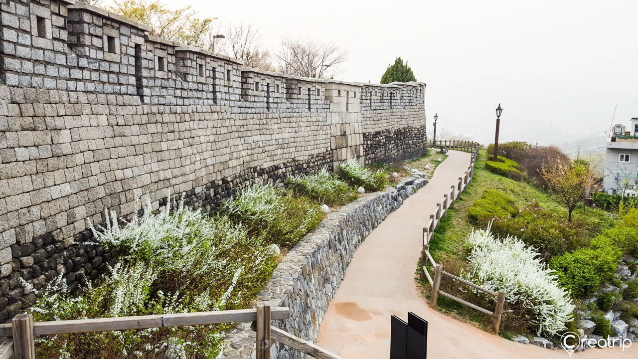 2025韓国桜開花予想、韓国お花見。ソウルお花見、韓国お花見おススメ、ソウル桜の名所、明洞桜、ヨイド桜、ソウルタワー桜、キョンヒ大学桜、ヨンセ路桜