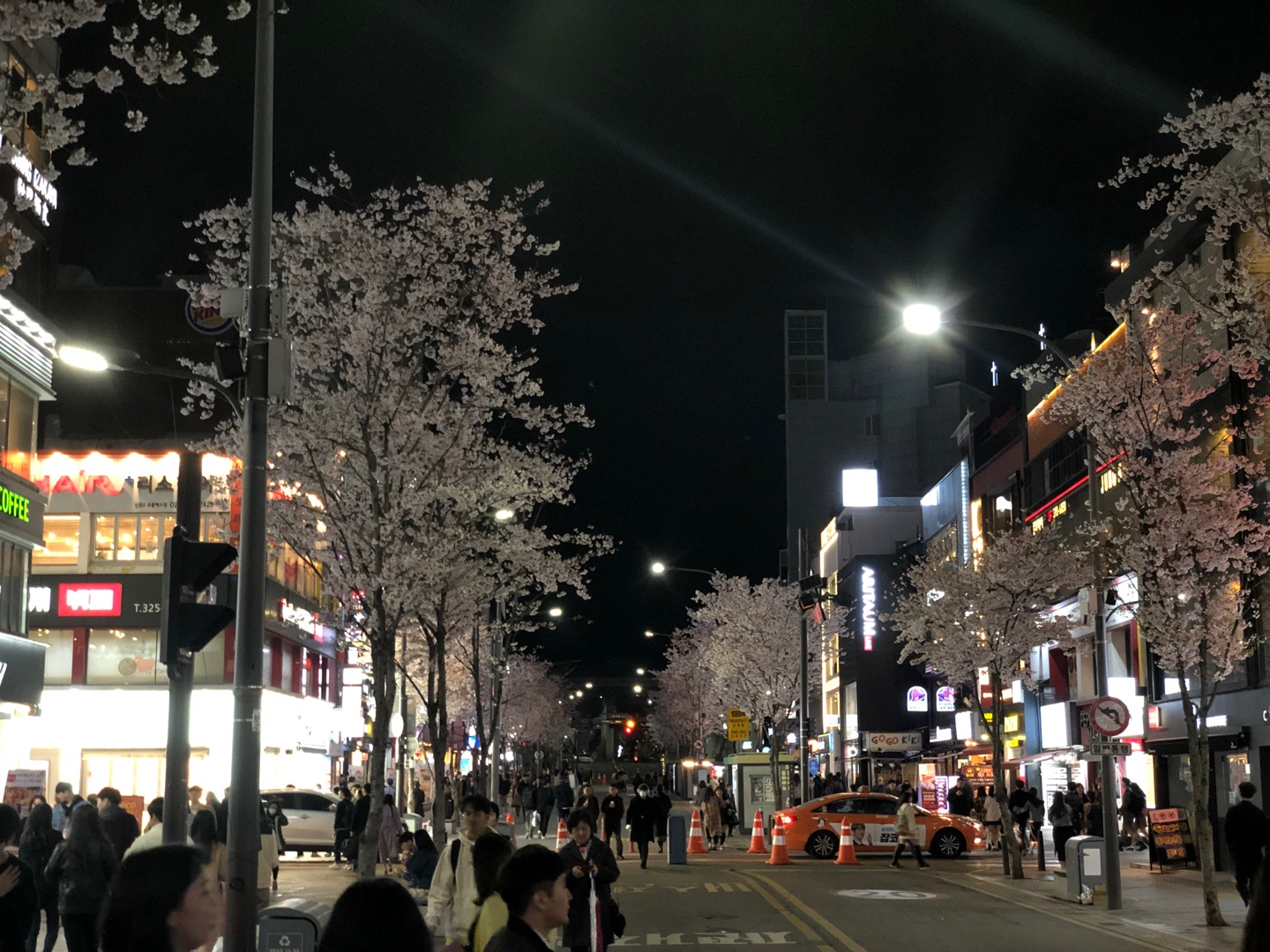 2025韓国桜開花予想、韓国お花見。ソウルお花見、韓国お花見おススメ、ソウル桜の名所、明洞桜、ヨイド桜、ソウルタワー桜、キョンヒ大学桜、ヨンセ路桜