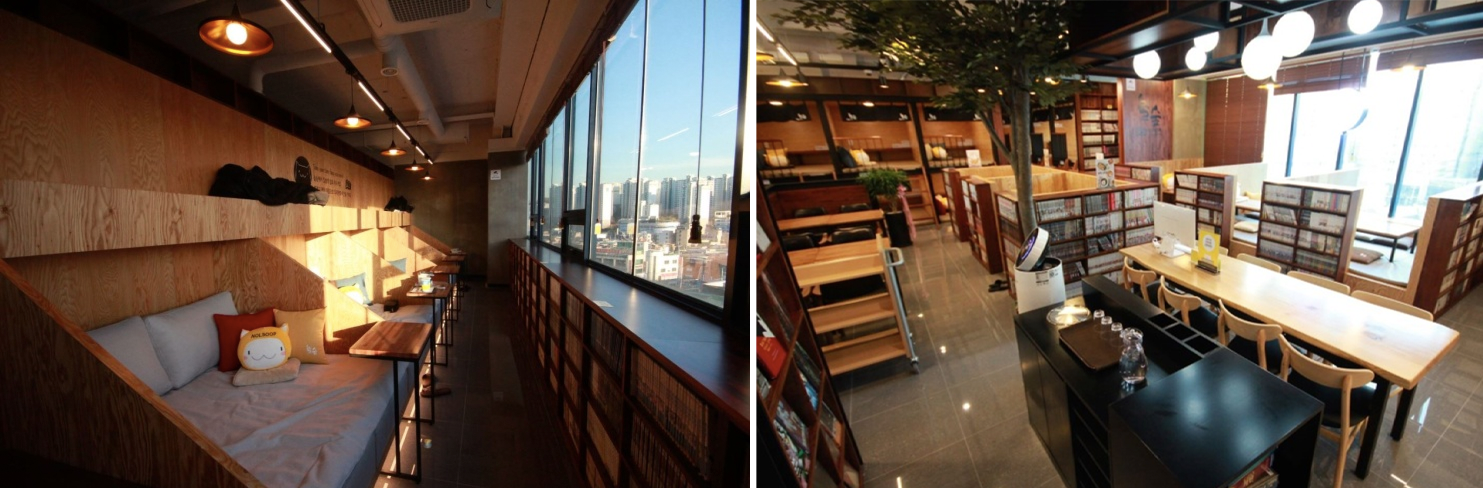 Different Types Of Cafes In Korea| What Are The Different Cafe Types Available In Korea? Nap Cafe? Animal Cafe?