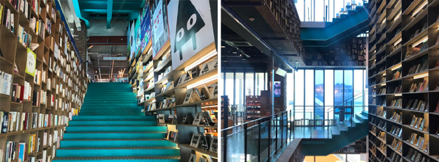 Different Types Of Cafes In Korea| What Are The Different Cafe Types Available In Korea? Nap Cafe? Animal Cafe?