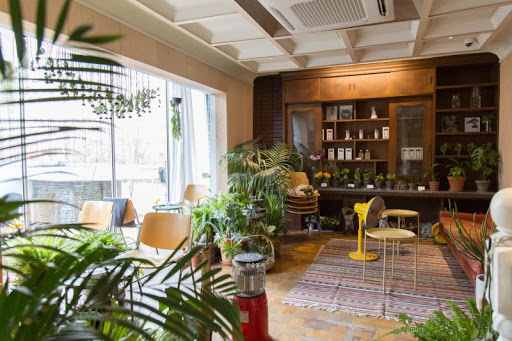 Different Types Of Cafes In Korea| What Are The Different Cafe Types Available In Korea? Nap Cafe? Animal Cafe?