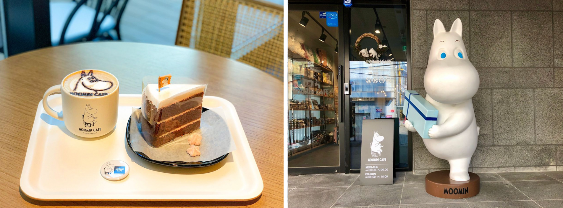 Different Types Of Cafes In Korea| What Are The Different Cafe Types Available In Korea? Nap Cafe? Animal Cafe?