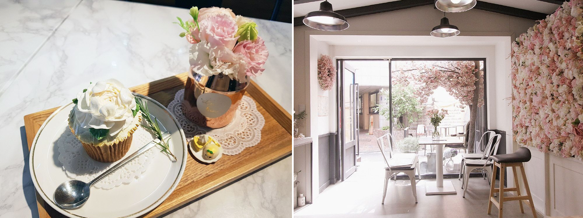 Different Types Of Cafes In Korea| What Are The Different Cafe Types Available In Korea? Nap Cafe? Animal Cafe?