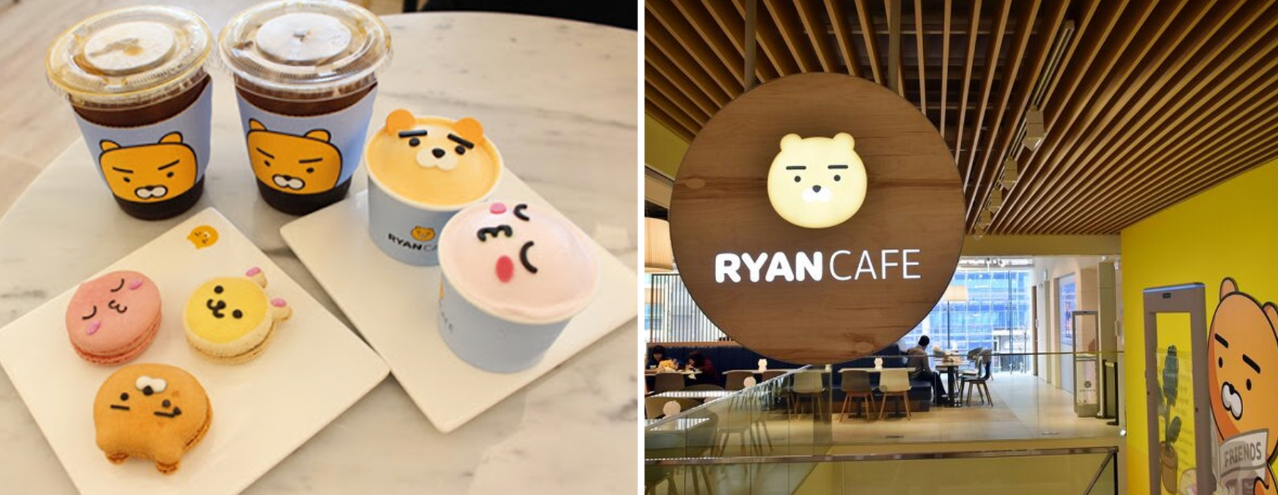 Different Types Of Cafes In Korea| What Are The Different Cafe Types Available In Korea? Nap Cafe? Animal Cafe?