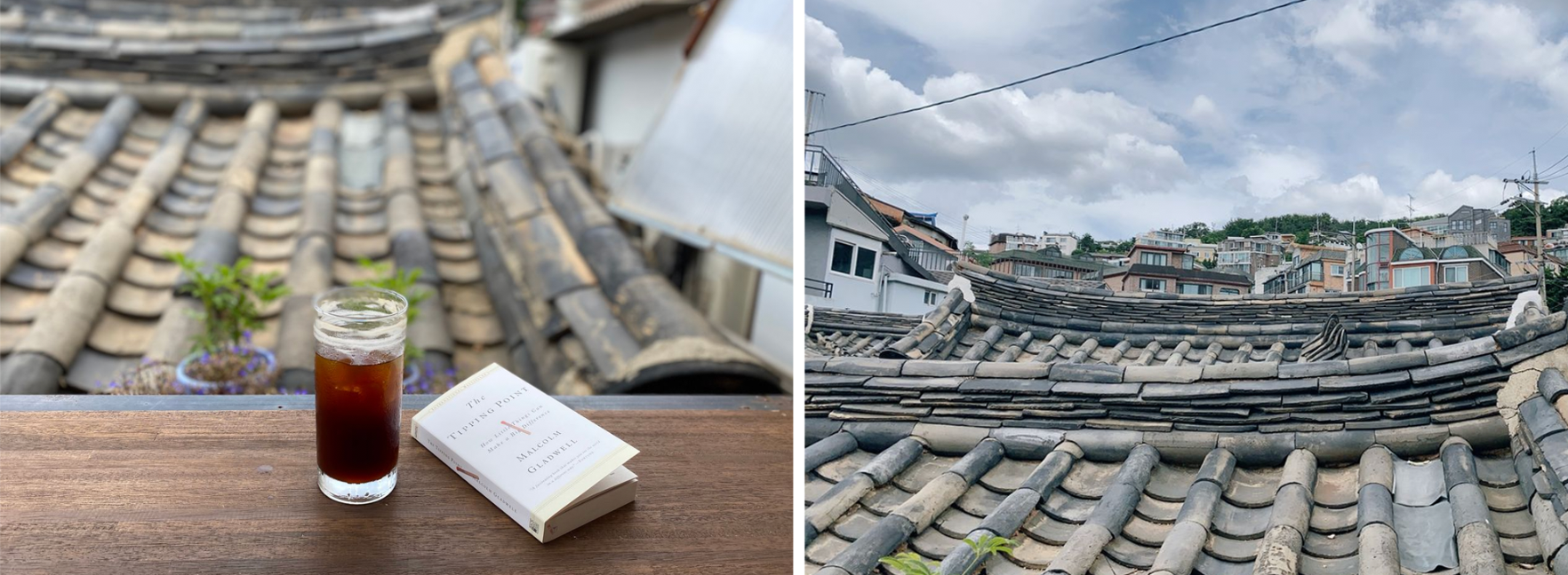 Different Types Of Cafes In Korea| What Are The Different Cafe Types Available In Korea? Nap Cafe? Animal Cafe?