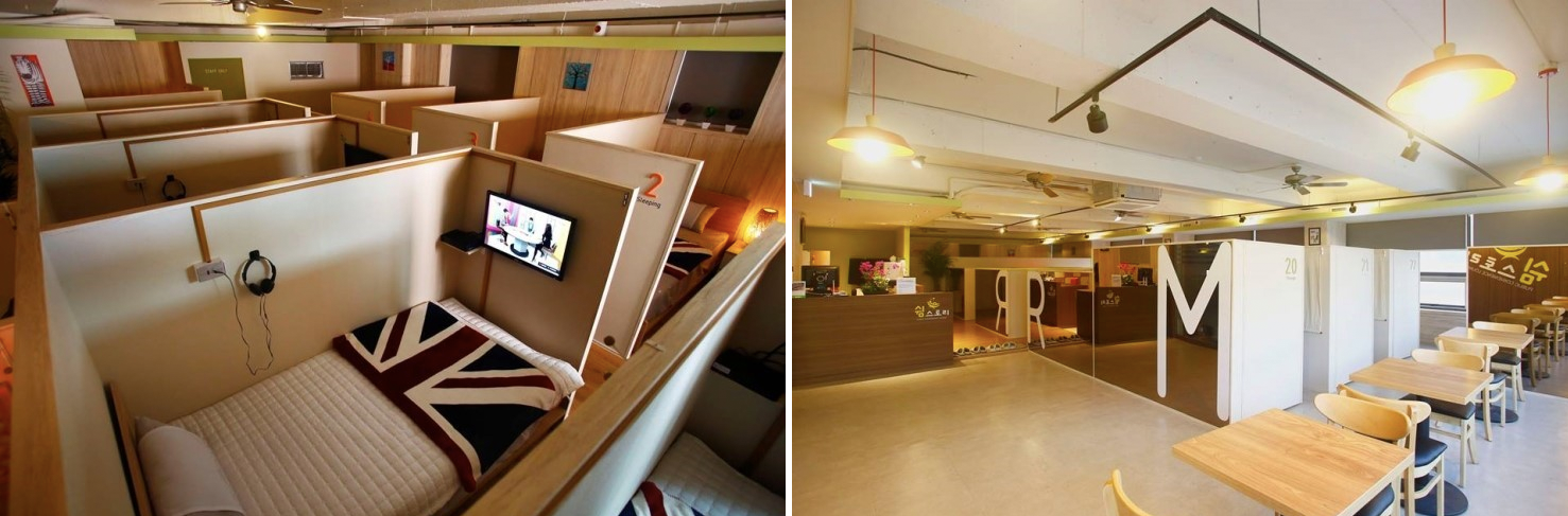 Different Types Of Cafes In Korea| What Are The Different Cafe Types Available In Korea? Nap Cafe? Animal Cafe?