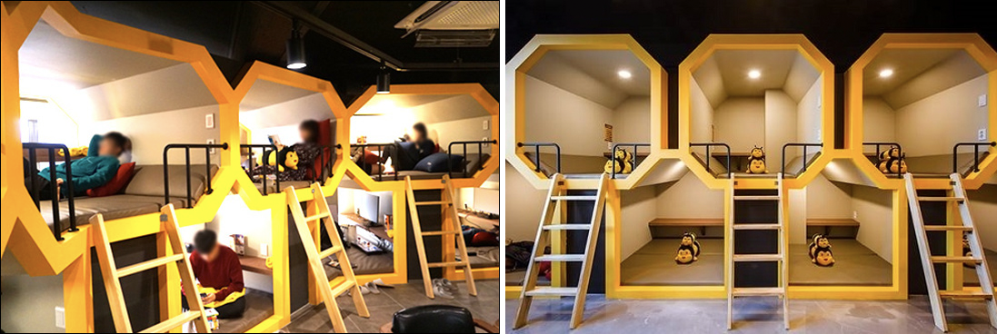 Different Types Of Cafes In Korea| What Are The Different Cafe Types Available In Korea? Nap Cafe? Animal Cafe?