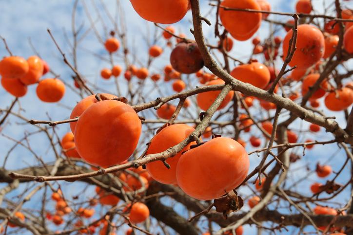 6 hành động của người Hàn bạn sẽ luôn thấy khó hiểu dù đã ở Hàn lâu năm 