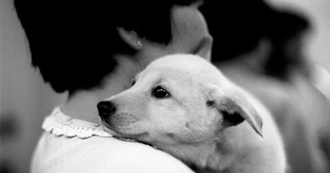 ภาพขาวดำของผู้หญิงกำลังอุ้มสุนัขไว้ในอ้อมกอด แสดงความอบอุ่นและความผูกพันระหว่างมนุษย์กับสัตว์