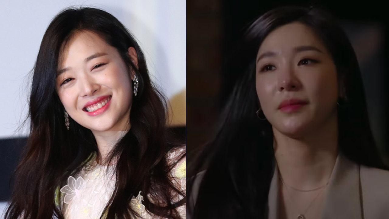 สารคดีเกี่ยวกับชีวิตของซอลลี่