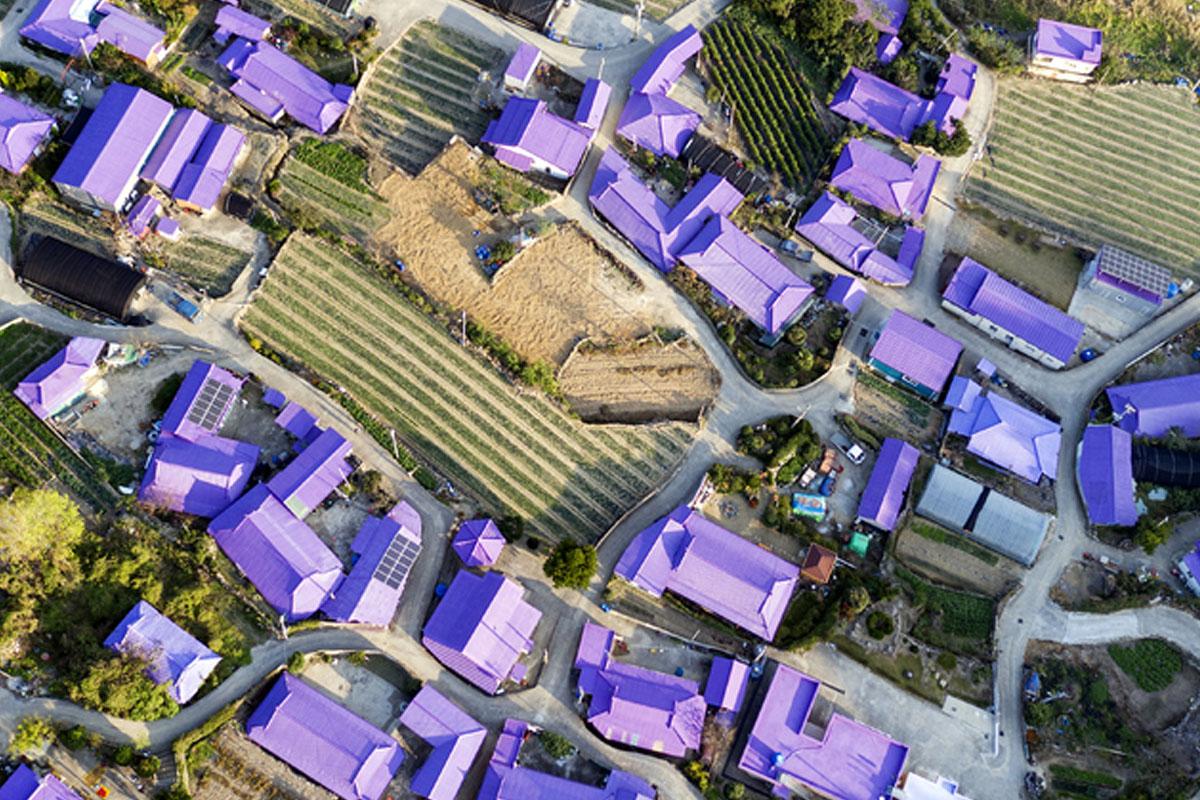 ภาพมุมสูงของหมู่บ้านบนเกาะสีม่วงที่เต็มไปด้วยหลังคาบ้านและอาคารที่ถูกทาสีม่วง ซึ่งมีเสน่ห์ดึงดูดนักท่องเที่ยว แต่ก็สะท้อนถึงประวัติศาสตร์แรงงานมนุษย์บนเกาะนี้