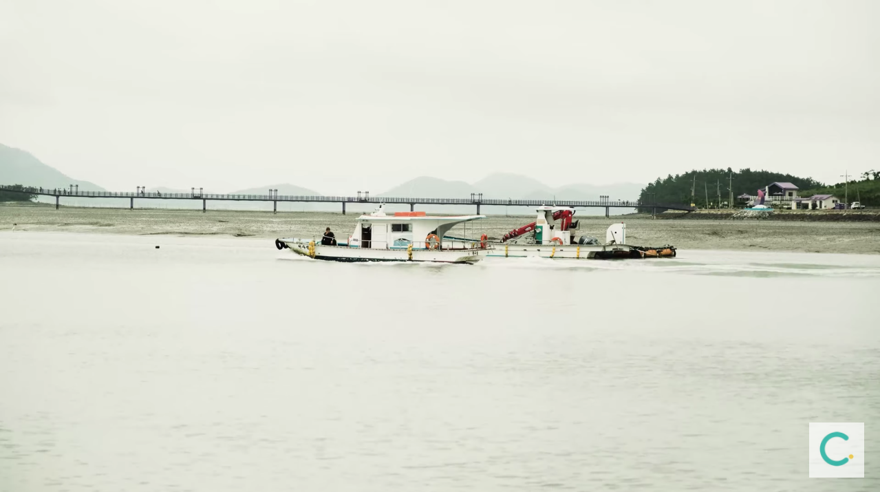 เวลาที่เห็นเกาะสีม่วงที่ฮอตฮิตในเกาหลี อยากให้รับรู้ว่า ที่นี่เคยมีแรงงานทาสและการค้ามนุษย์เกิดขึ้นมาก่อนค่ะ